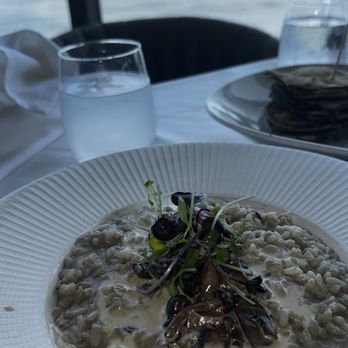 Molos - MUSHROOM RISOTTO - Greek Near Me - Weehawken, New Jersey Molos - MUSHROOM RISOTTO - Greek Near Me - Weehawken, New Jersey