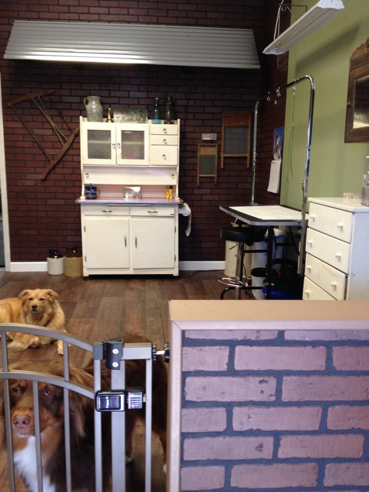 BARKABILLIES GROOMING SALOON Updated July 2024 23 Photos 1393 Mt Ulla Hwy, Mooresville