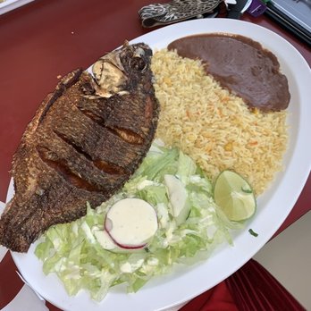 Mi Casita Restaurant - a plate of fish, rice, and vegetables - Mexican Near Me - Manassas, Virginia Mi Casita Restaurant - a plate of fish, rice, and vegetables - Mexican Near Me - Manassas, Virginia