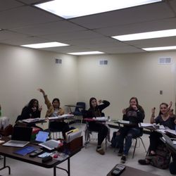 Dream Tree Tutors