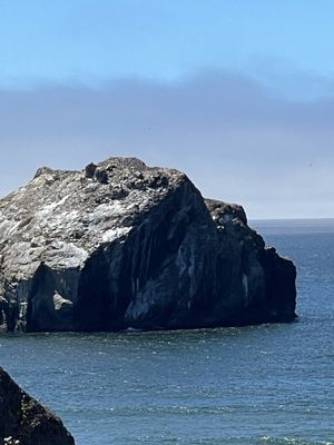 Face Rock State Scenic Viewpoint by null