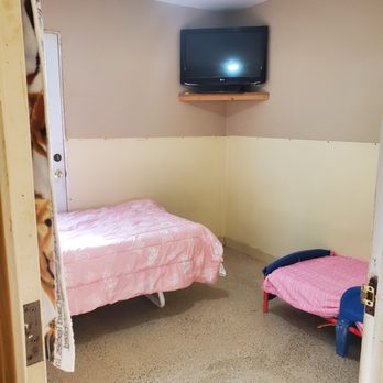 All Dogs Haven - Pet Boarding Near Me - Wasilla, Alaska All Dogs Haven - Pet Boarding Near Me - Wasilla, Alaska
