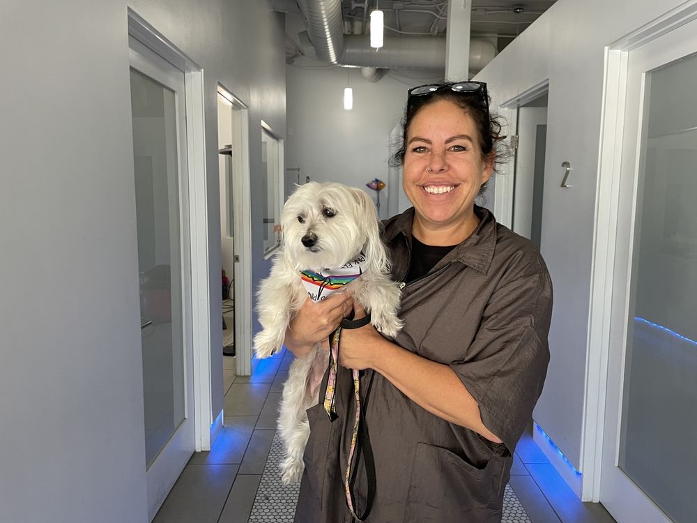 ANIMAL HOUSE PET GROOMING 41 Photos 3747 E Thousand Oaks Blvd