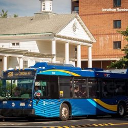 Van Siclen 3 Train Station - Q58 Bus (Van Siclen, Livonia, and Dumont Avenues)