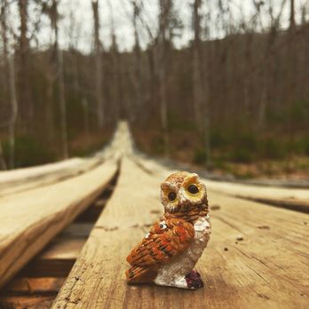 Douthat State Park - Parks Near Me - Millboro, Virginia
