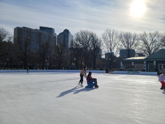 Boston Common Frog Pond by null