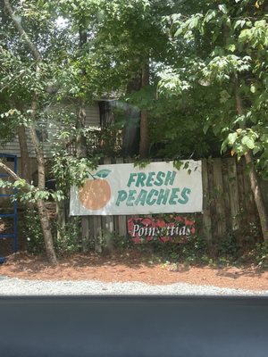 Perkins Orchard by null