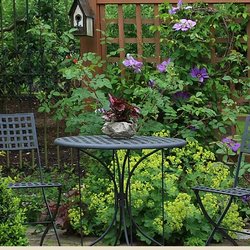 Marvin's Organic Gardens