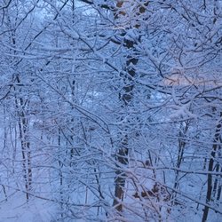 TD Bank - Ringwood after snow storm