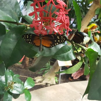 Pacific Science Center - Museums Near Me - Seattle, Washington Pacific Science Center - Museums Near Me - Seattle, Washington
