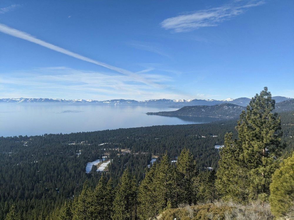 Earl Law Offices - divorce attorney in Reno, NV