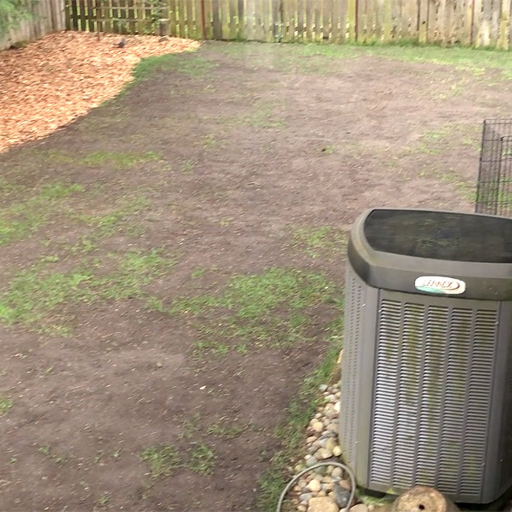 Pro Time Lawn Seed - Before - Nurseries & Gardening Near Me - Portland, Oregon Pro Time Lawn Seed - Before - Nurseries & Gardening Near Me - Portland, Oregon