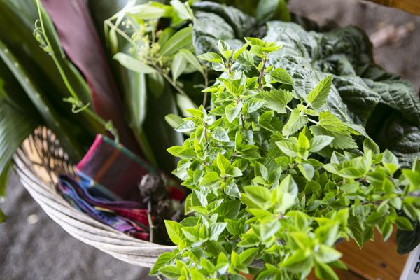 La Kahea Community Farm by null