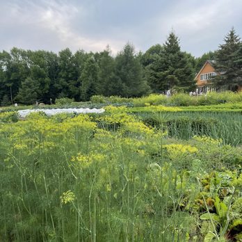 Parcelles - The garden - Desserts Near Me - Magog, Quebec