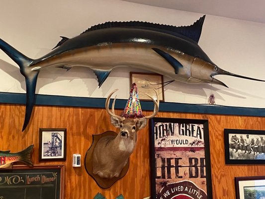 Angelo's Pizza Restaurant Seafood & Steamer Bar by null