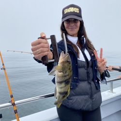 Sea Star Sport Fishing