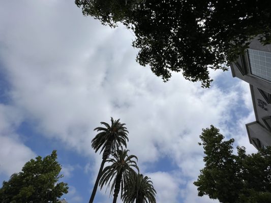 El Zarape Restaurant by null