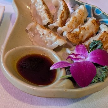Teresa's Osaka Asian Bistro - Goyza - Sushi Bars Near Me - Toms River, New Jersey Teresa's Osaka Asian Bistro - Goyza - Sushi Bars Near Me - Toms River, New Jersey