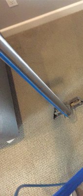 SOUTHERN CALIFORNIA CARPET CLEANING - Updated January 2025 - 29 Reviews