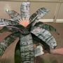 Easy Street Florist