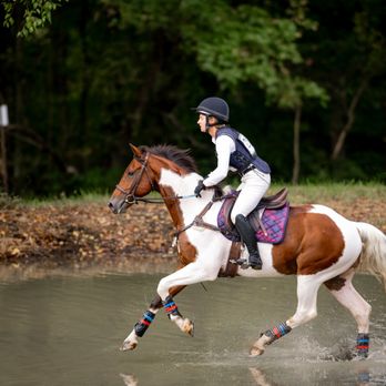 Beat the Odds Training - Horseback Riding Near Me - Leesburg, Virginia Beat the Odds Training - Horseback Riding Near Me - Leesburg, Virginia