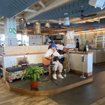 Monkeypod Kitchen - Tacos Near Me - Honolulu, Hawaii Monkeypod Kitchen - Tacos Near Me - Honolulu, Hawaii