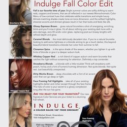 Indulge Salon - The fall edit for hair color for November 2026