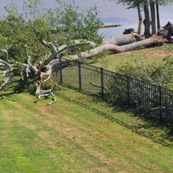 Bryan Haguewood's Tree Service