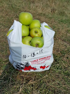 Apple Charlie's Orchards by null