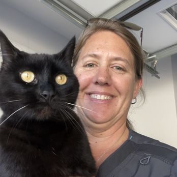 805 Mobile Vet - Dr Waterman and Ember - Veterinarians Near Me 805 Mobile Vet - Dr Waterman and Ember - Veterinarians Near Me