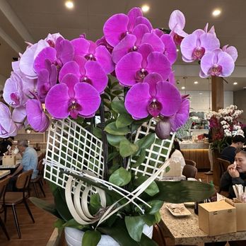 Yummy Pho - Vietnamese Near Me - Westminster, California