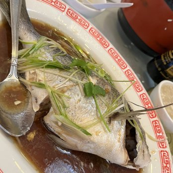 King Palace Restaurant - Steamed fish - Seafood Near Me - Sacramento, California King Palace Restaurant - Steamed fish - Seafood Near Me - Sacramento, California
