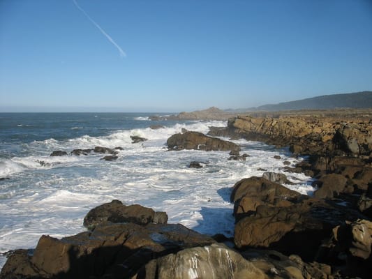 Salt Point State Park by null