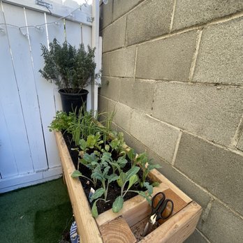 Vazquez Nursery - Nurseries & Gardening Near Me - Huntington Beach, California