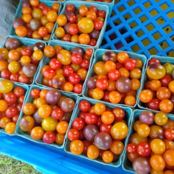 Common Roots Urban Farm - a variety of tomatoes - CSA Near Me - Buffalo, New York Common Roots Urban Farm - a variety of tomatoes - CSA Near Me - Buffalo, New York