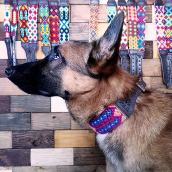 Orgánico & Artesanal - Dale un toque de nuestras coloridas raíces a tu mascota con collares XOLO. - Organic Stores Near Me - Ensenada, BCN Orgánico & Artesanal - Dale un toque de nuestras coloridas raíces a tu mascota con collares XOLO. - Organic Stores Near Me - Ensenada, BCN