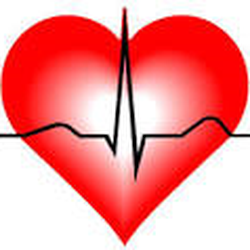 Advance CPR Studio