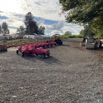 Bushue's Family Farm - Farmers Market Near Me - Boring, Oregon Bushue's Family Farm - Farmers Market Near Me - Boring, Oregon
