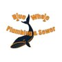 Photo of Blue Whale Backflow, Plumbing, & Excavating