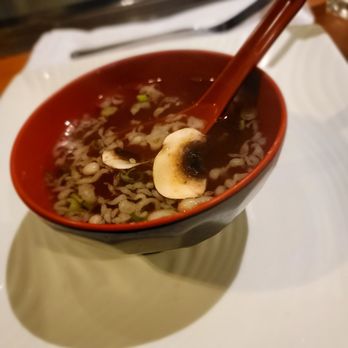 Sakura Japanese Steakhouse - Soup - Japanese Near Me - Toledo, Ohio Sakura Japanese Steakhouse - Soup - Japanese Near Me - Toledo, Ohio