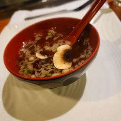 Sakura Japanese Steakhouse - Soup