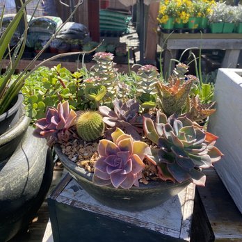 North Park Nursery - Nurseries & Gardening Near Me - San Diego, California North Park Nursery - Nurseries & Gardening Near Me - San Diego, California