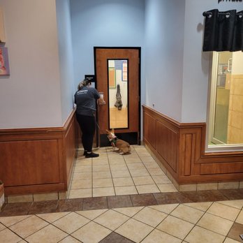 PetSmart - Entering the pet only area - Pet Stores Near Me - Laurel, Maryland