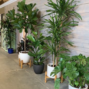Evergreen Nursery - Nurseries & Gardening Near Me - San Leandro, California Evergreen Nursery - Nurseries & Gardening Near Me - San Leandro, California
