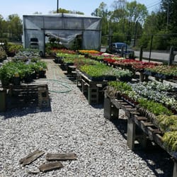 The Garden