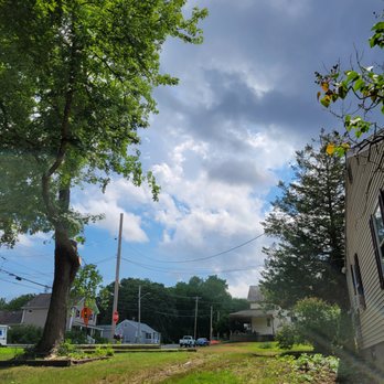 North Smithfield Tree Service - after - Tree Services Near Me - North Smithfield, Rhode Island