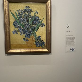 Van Gogh Museum - Irises - Museums Near Me - Amsterdam, New Hampshire