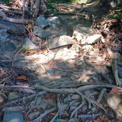 Potomac Heritage Trail - Areas where you'll need to slow down if running.