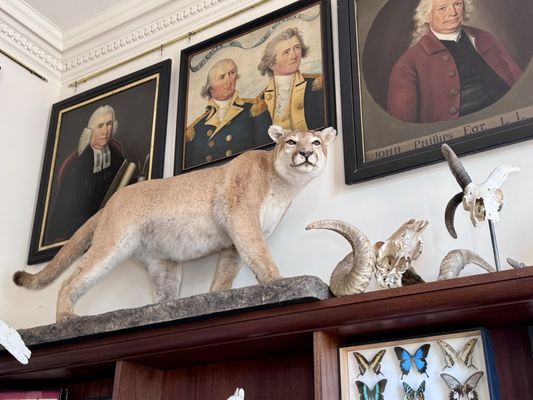 Connecticut's Old State House by null