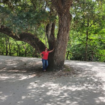 Solomon's Castle - Tours Near Me - Ona, Florida
